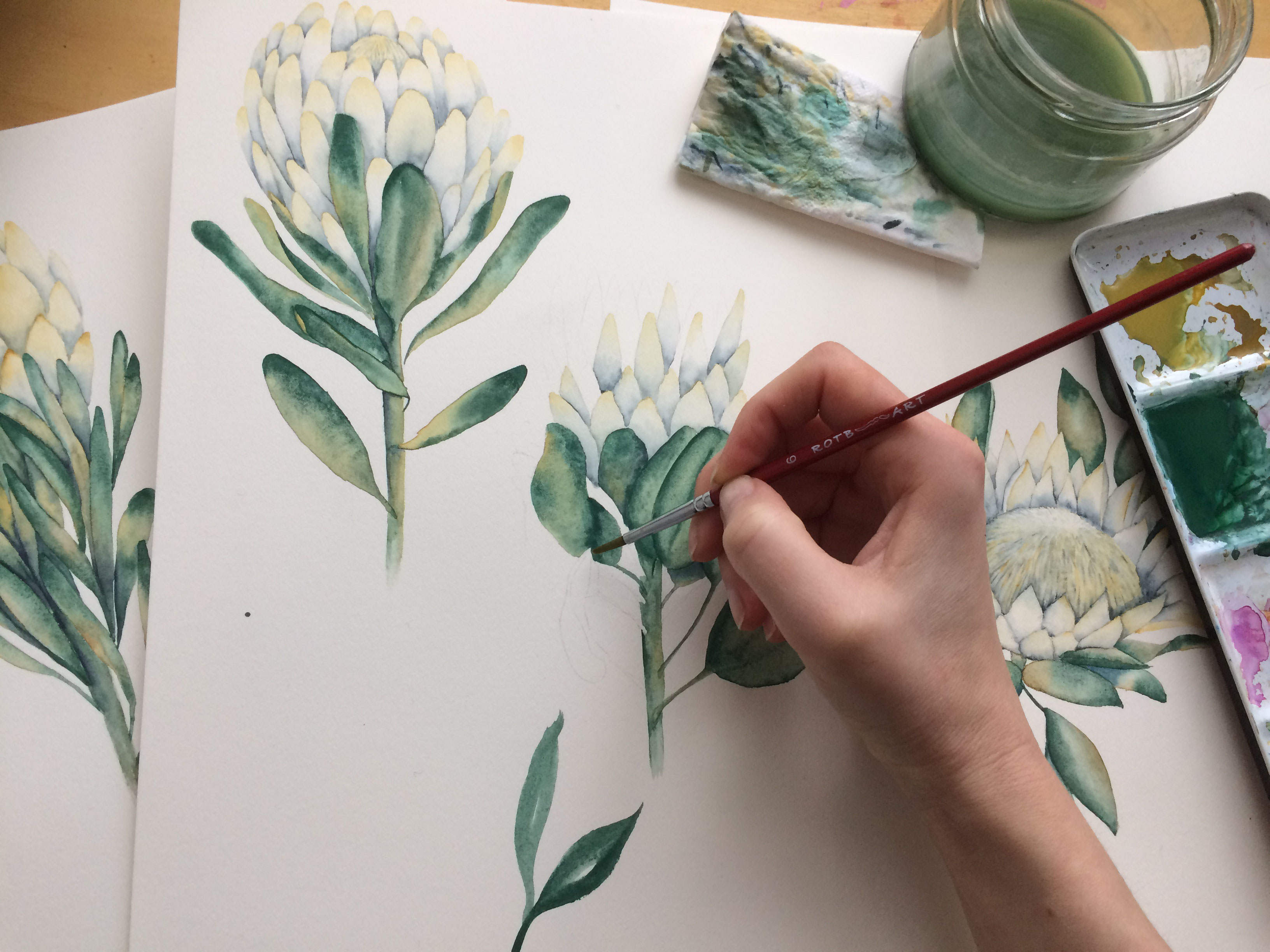 4 Tipps für die Vorzeichnung beim Aquarell - für mehr WOW in deinem 4 Tipps für die Vorzeichnung beim Aquarell - für mehr WOW in deinem