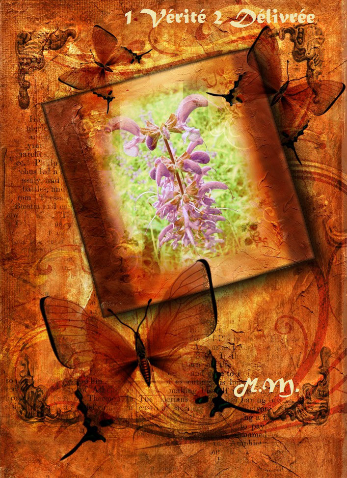 fléau des temps modernes 3 lettres fléau des temps modernes 3 lettres