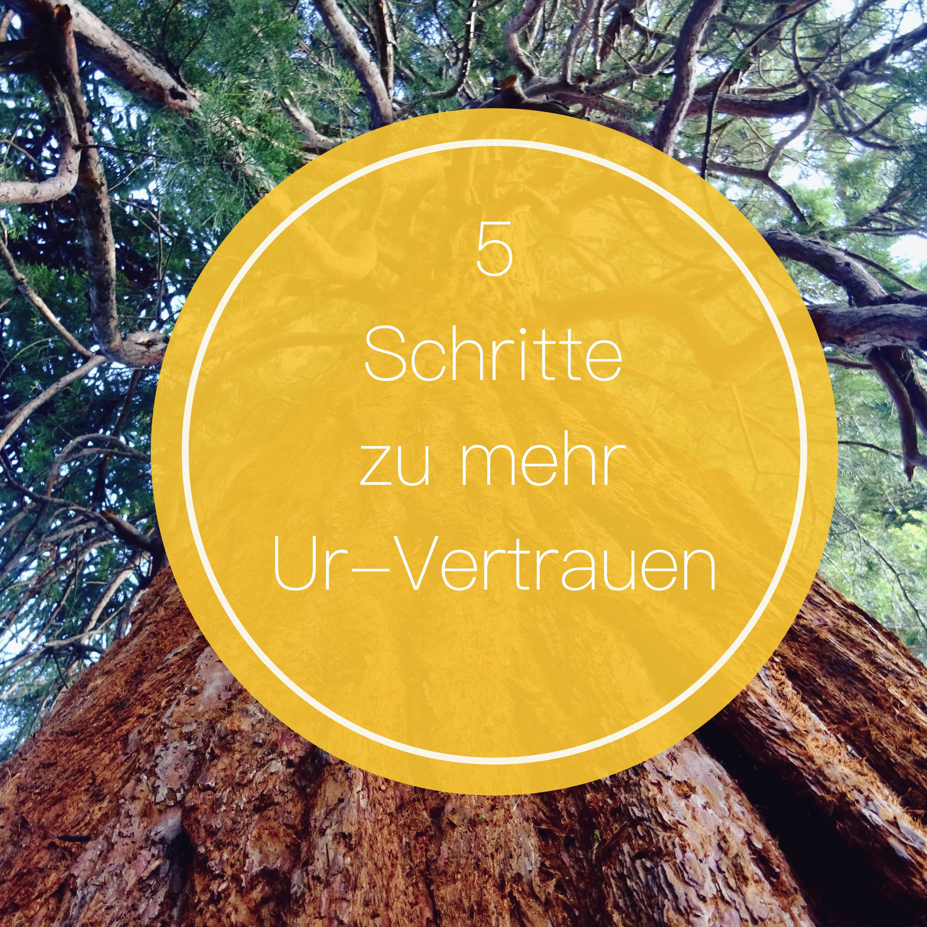 Get Liebe vertrauen aufbauen Free