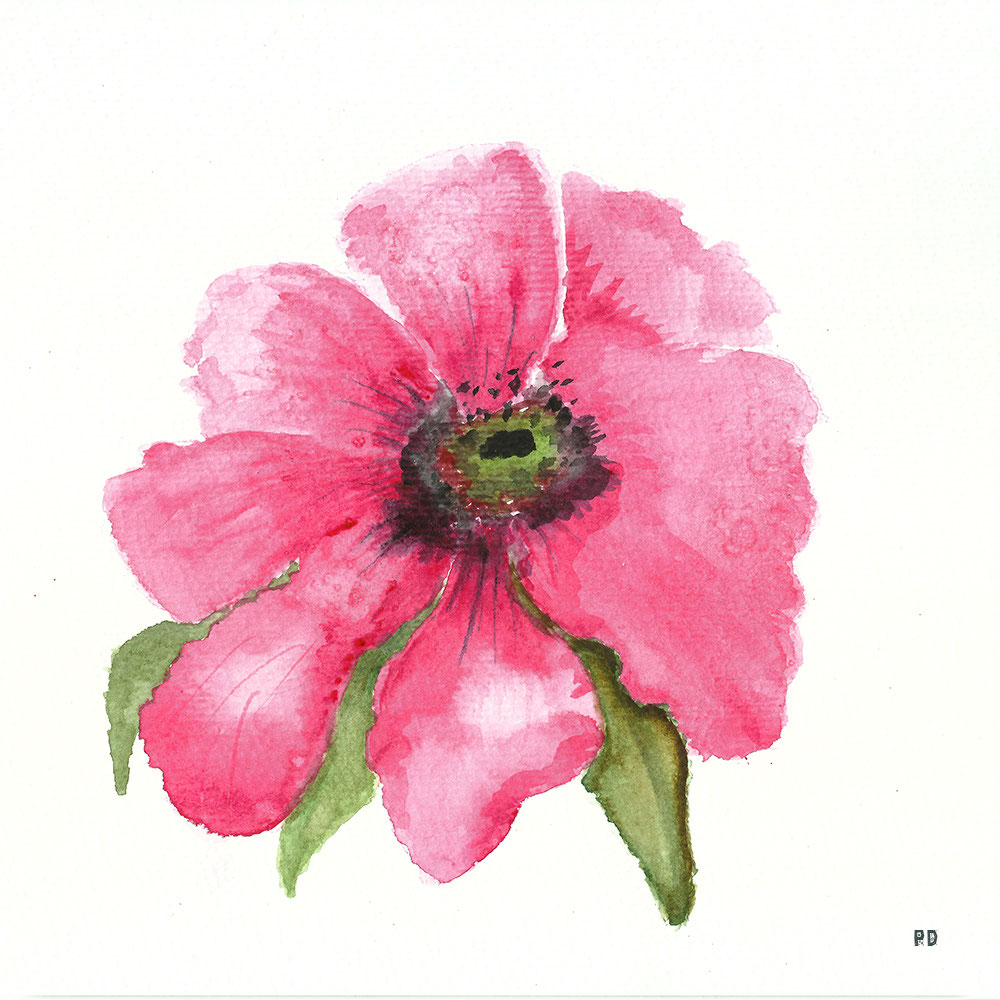 AquarellTutorial Karen Rice PeDSchWork Fotodesign