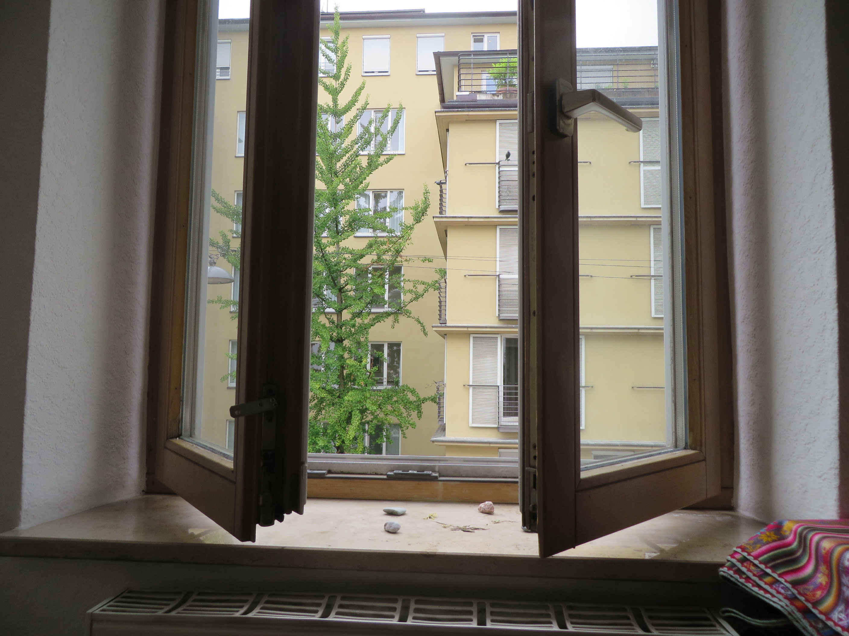 Blick aus dem Fenster Hommage an eine unbekannte Alte