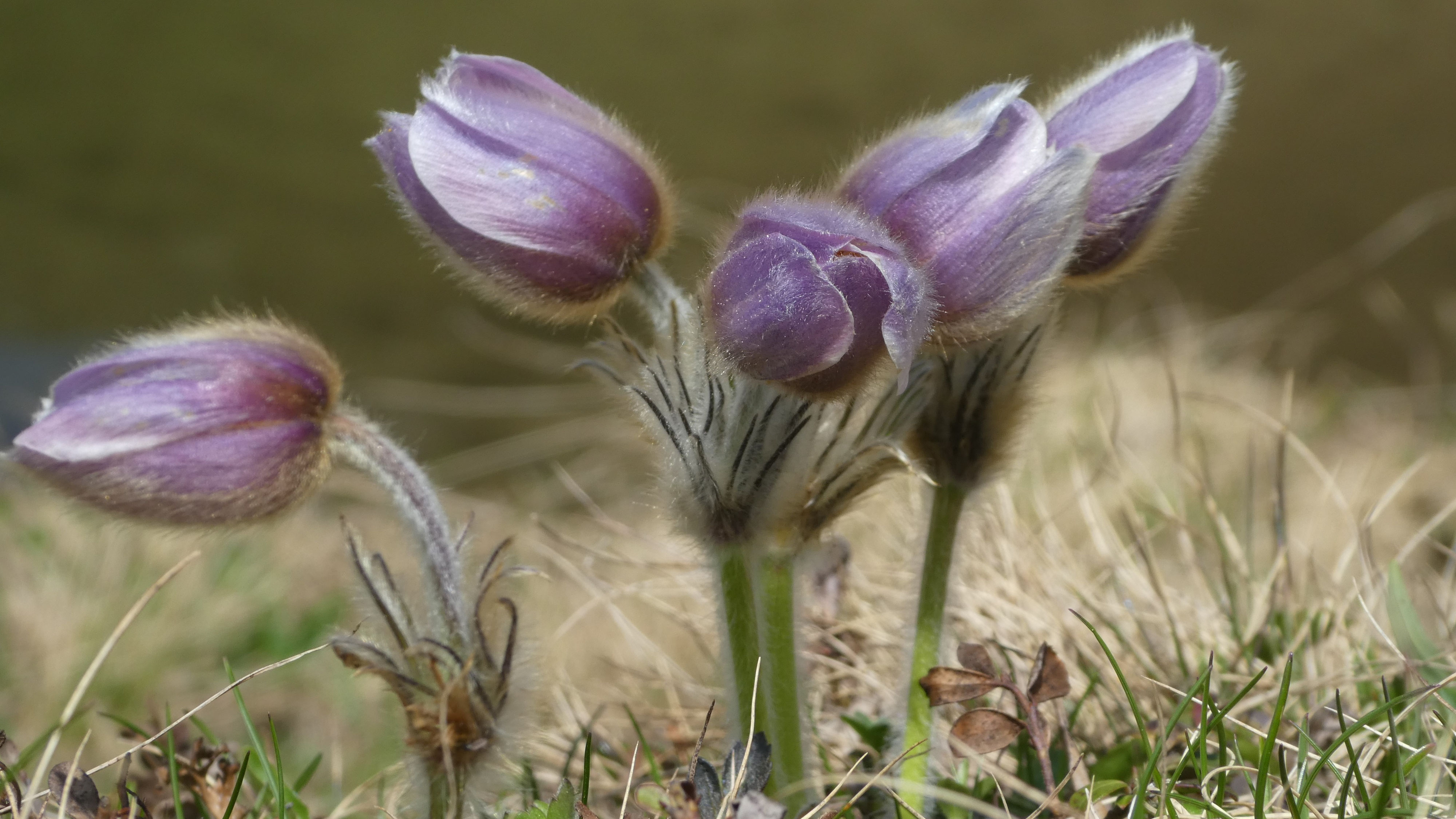 Aufstieg helgajossens Webseite!