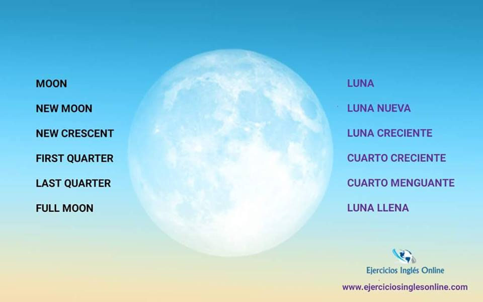 Vocabulario en inglés Ejercicios inglés online