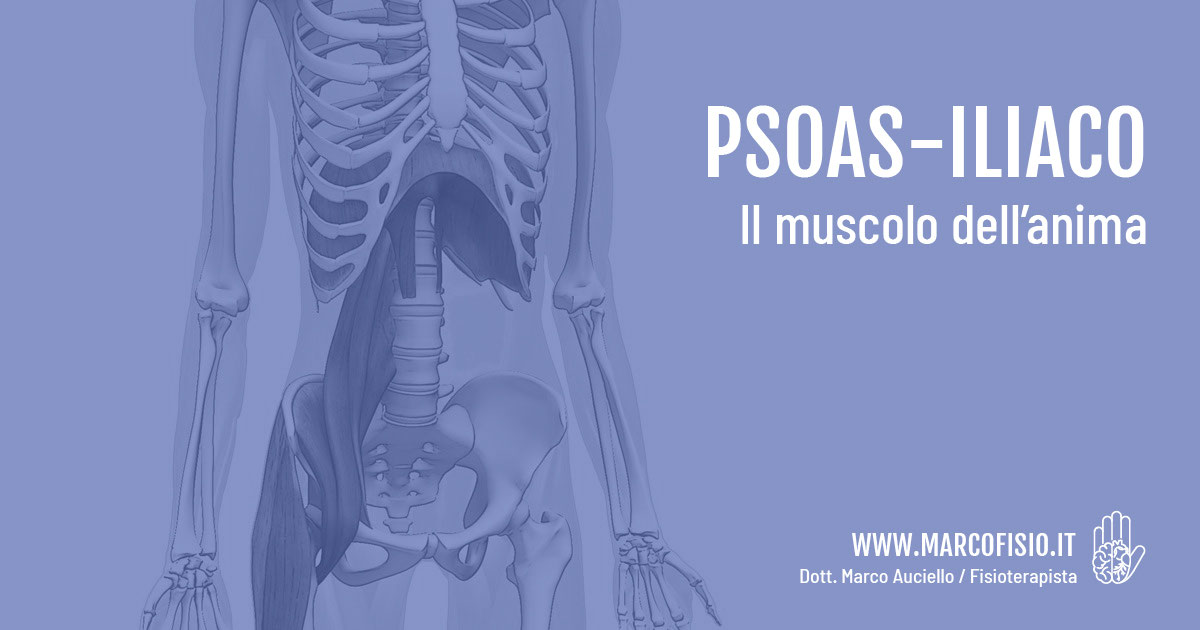 PSOASILIACO IL MUSCOLO DELL'ANIMA marcofisio.it