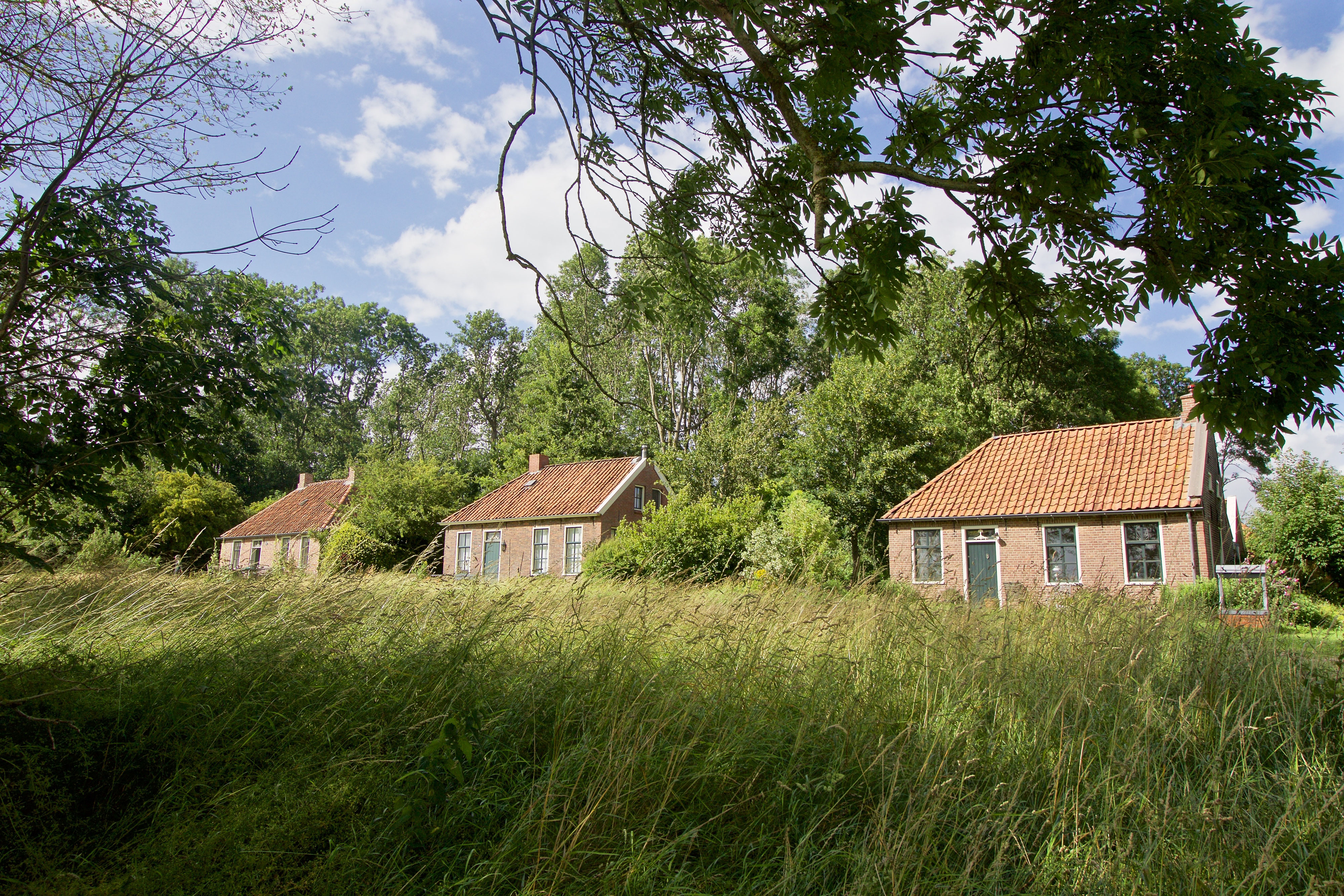 Het Hogeland prachtig Mooigrunnen.nl