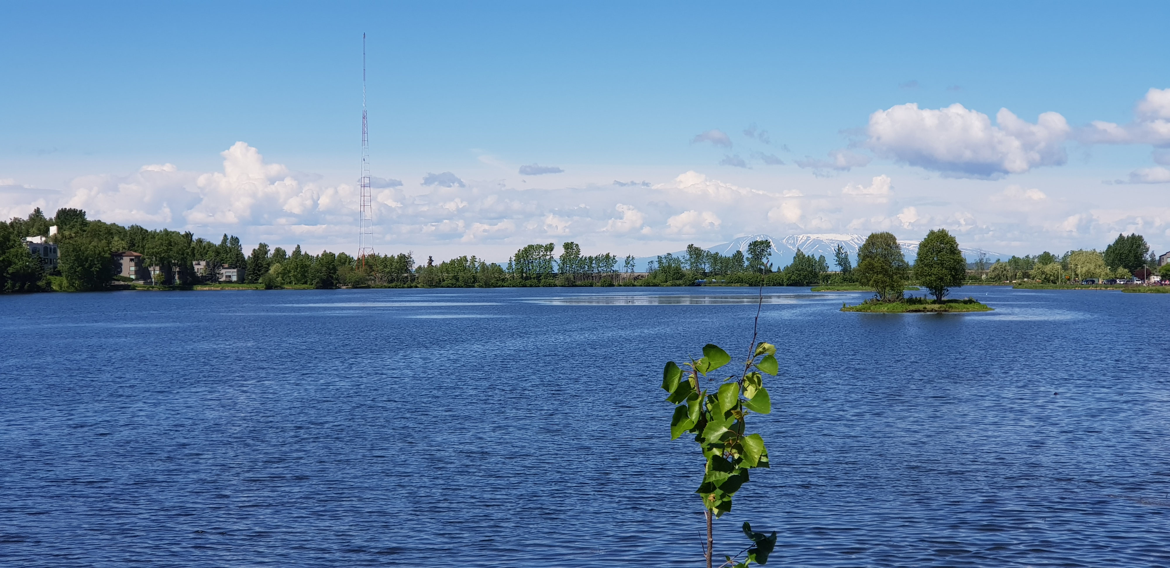 Anchorage a Tok Página web de motovolta