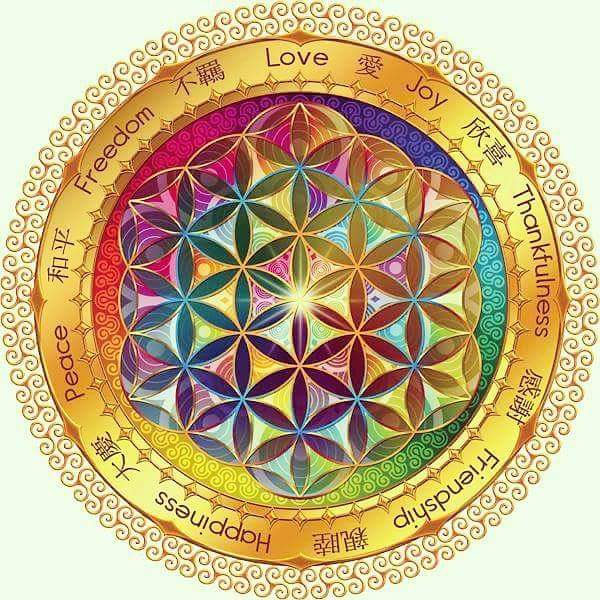 Sound Healing I Solfeggio Frequencies HATHA YOGA CLASSIC FRECHEN