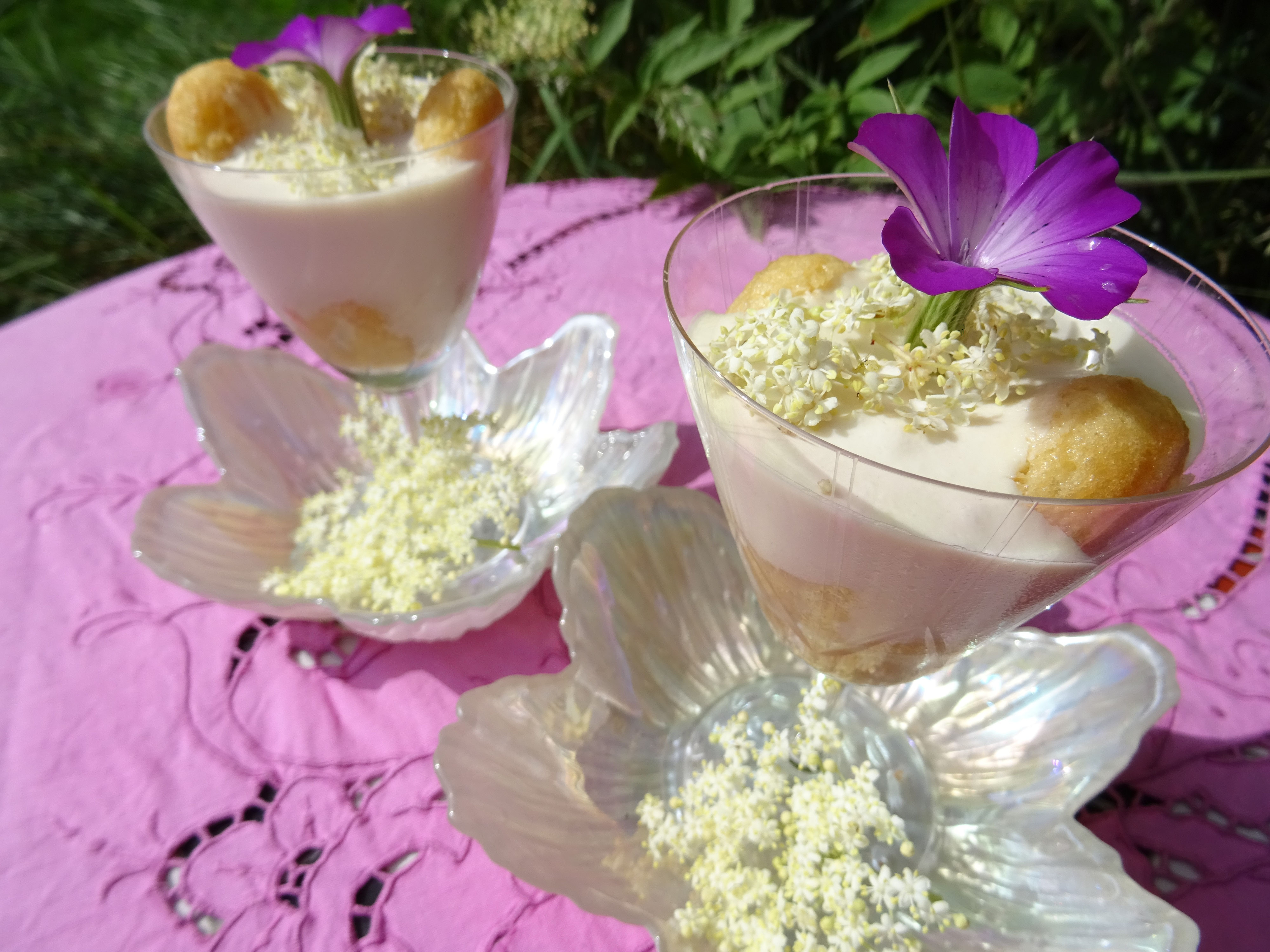 Holunderblüten Tiramisu - heimatblume kulinarisches aus dem kochergarten