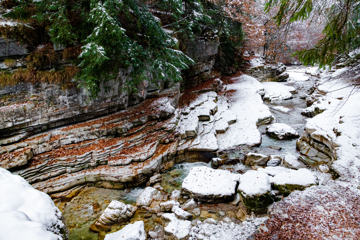 Tauglgries Christian Lintner Hobbyfotograf