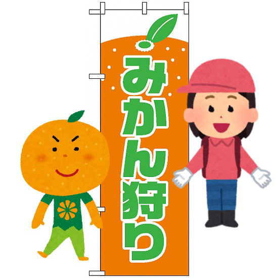 例年恒例の みかん狩り に行って来ました 大阪市北区多機能型事業所 青空
