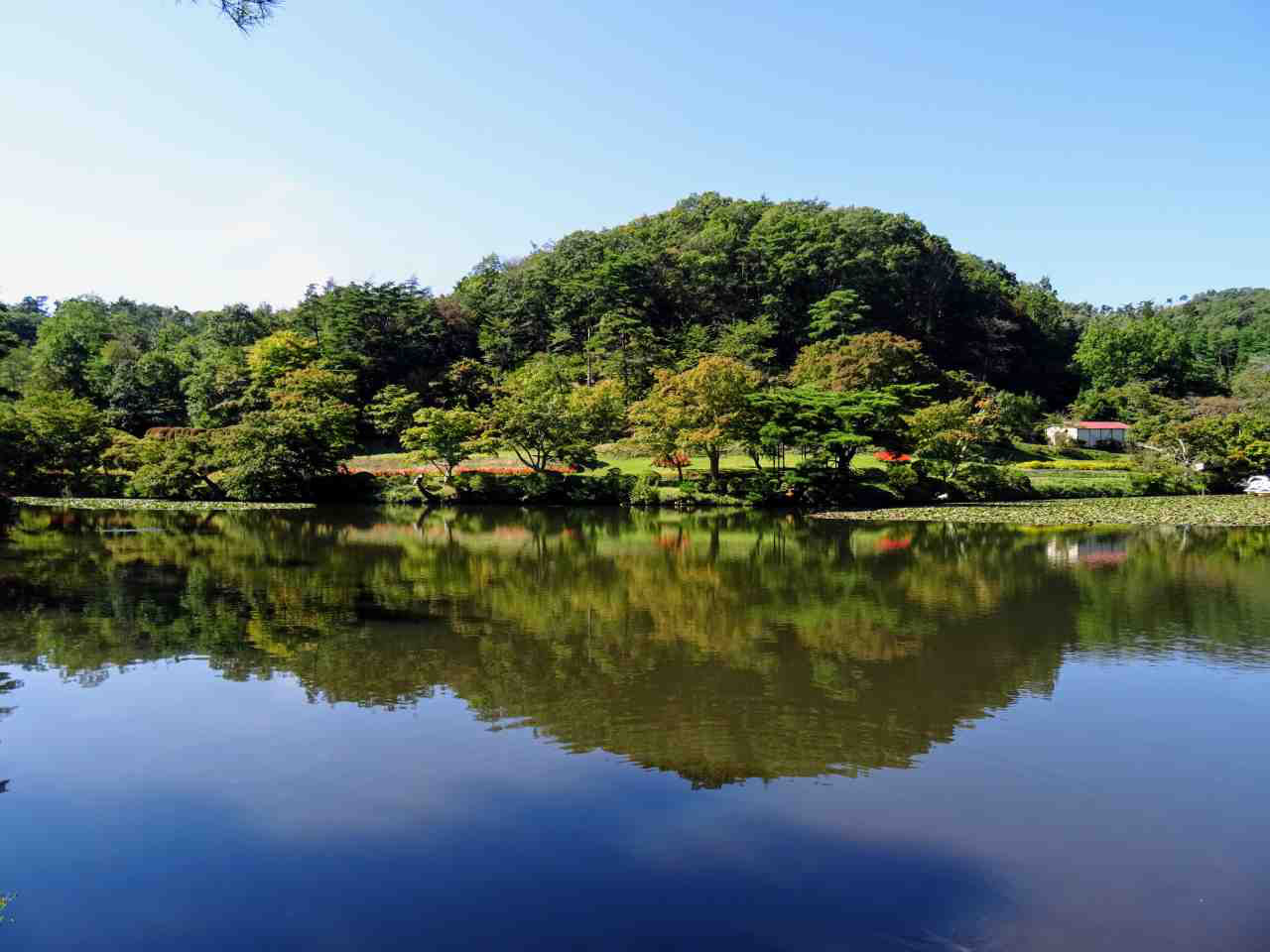 本宮市 花と歴史の郷 蛇の鼻 ウルトラマン 温泉 観光 フード福島は福島県内の情報を提供します 本宮市 花と歴史の郷 蛇の鼻 ウルトラマン 温泉 観光 フード福島は福島県内の情報を提供します