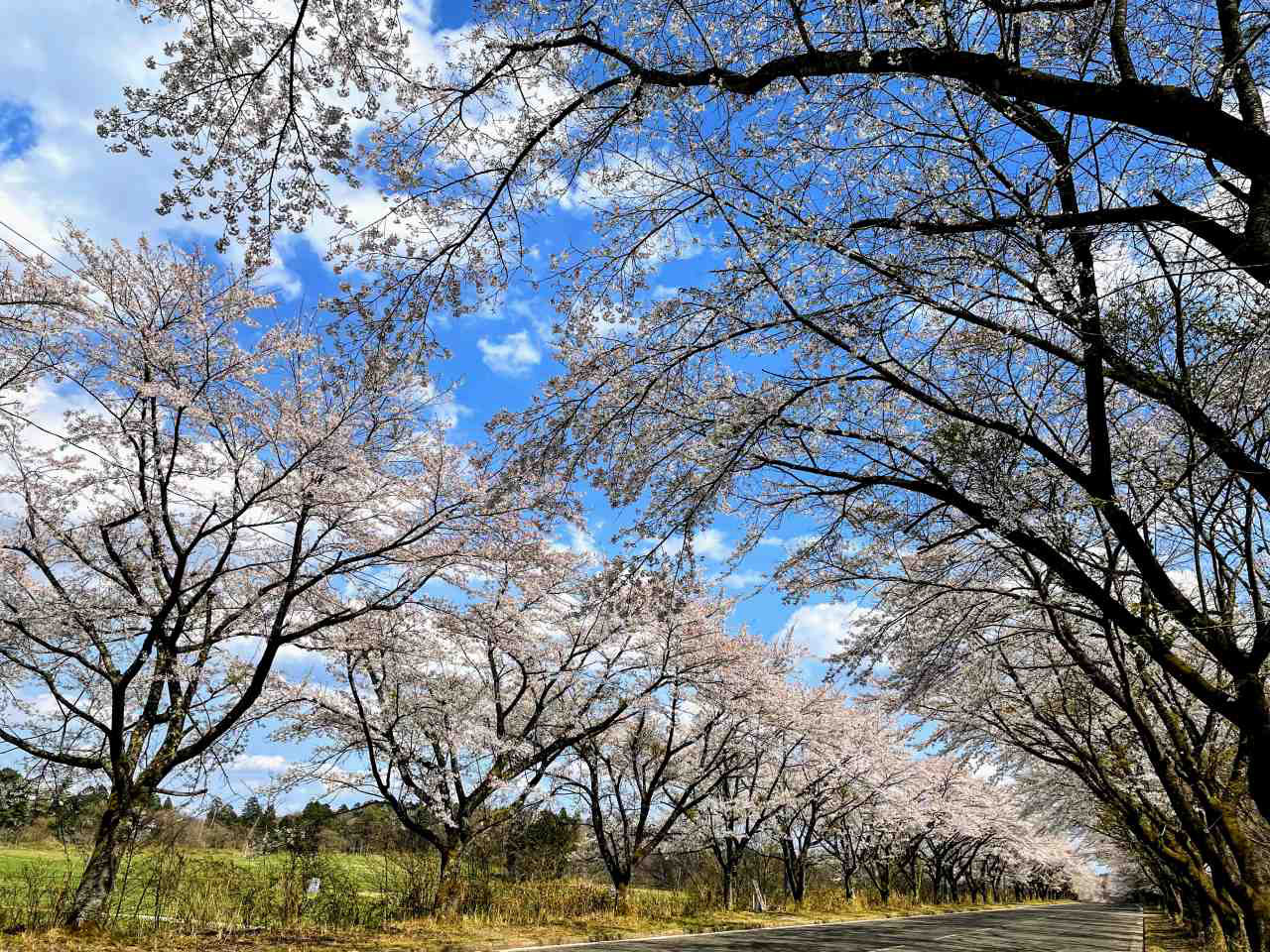 www food fukushima jp