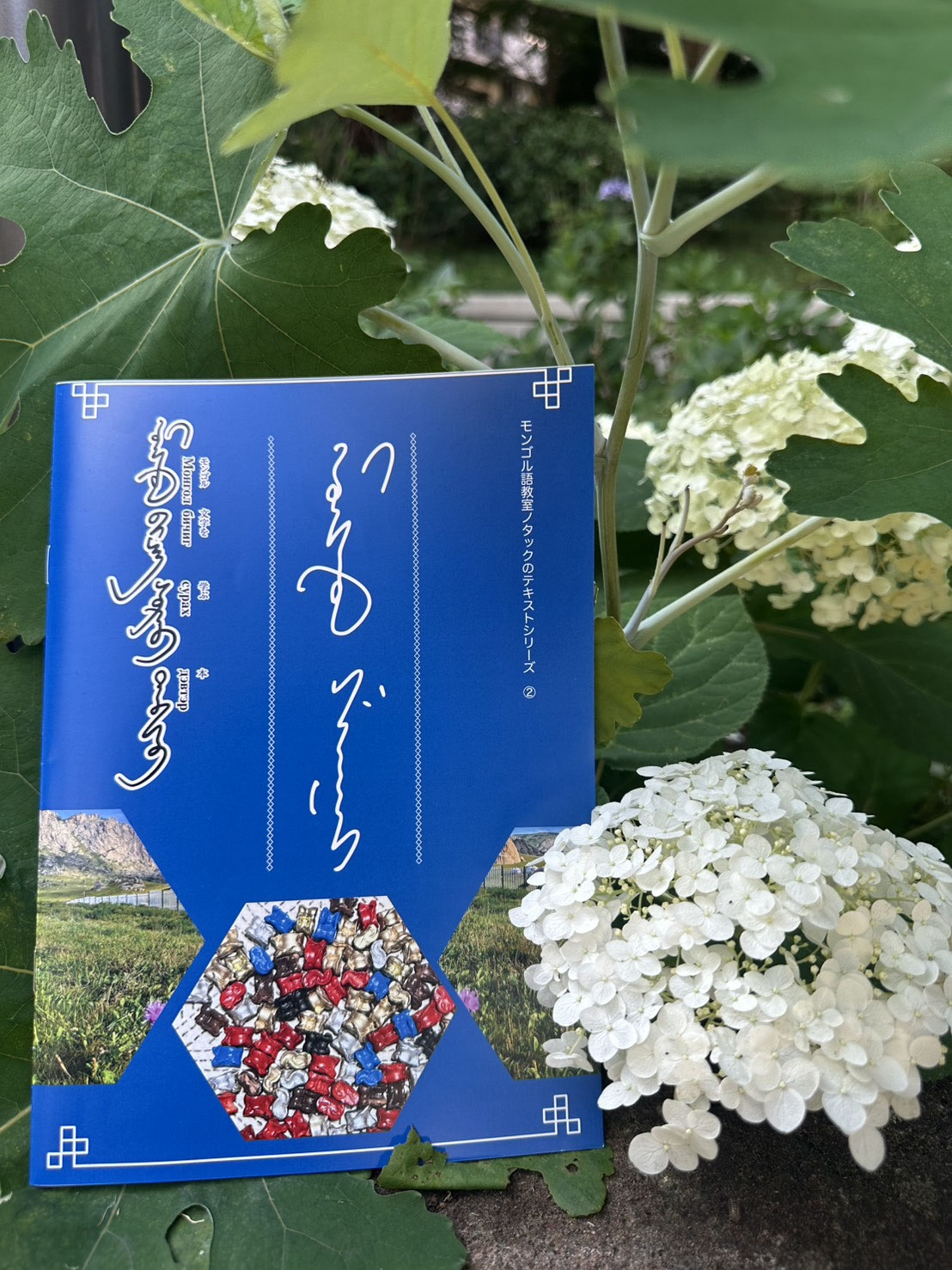 モンゴル語教科書　Монгол хэл сурах бичиг モンゴル国立大学 紫陽花の季節に届いたモンゴル文字ノート - モンゴル語教室ノタック