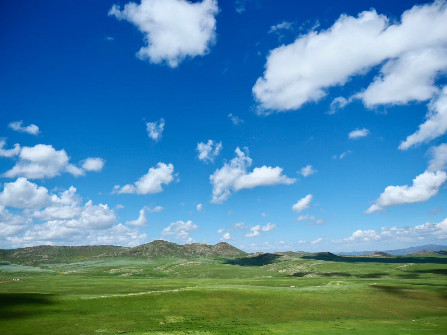 モンゴル書道展 - モンゴル語教室ノタック MONGOLIAN LANGUAGE
