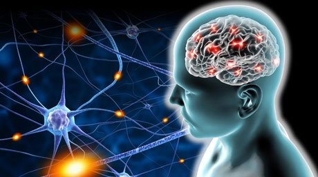 LA NEUROPLASTICIDAD EN LA REHABILITACIÓN NEUROPSICOLÓGICA - ESTIMULACIÓN  COGNITIVA GLOBAL