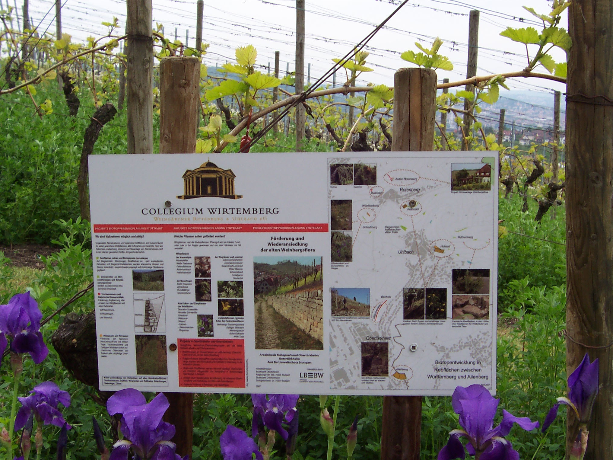 Collegium Wirtemberg in SRotenberg genussregionstuttgart