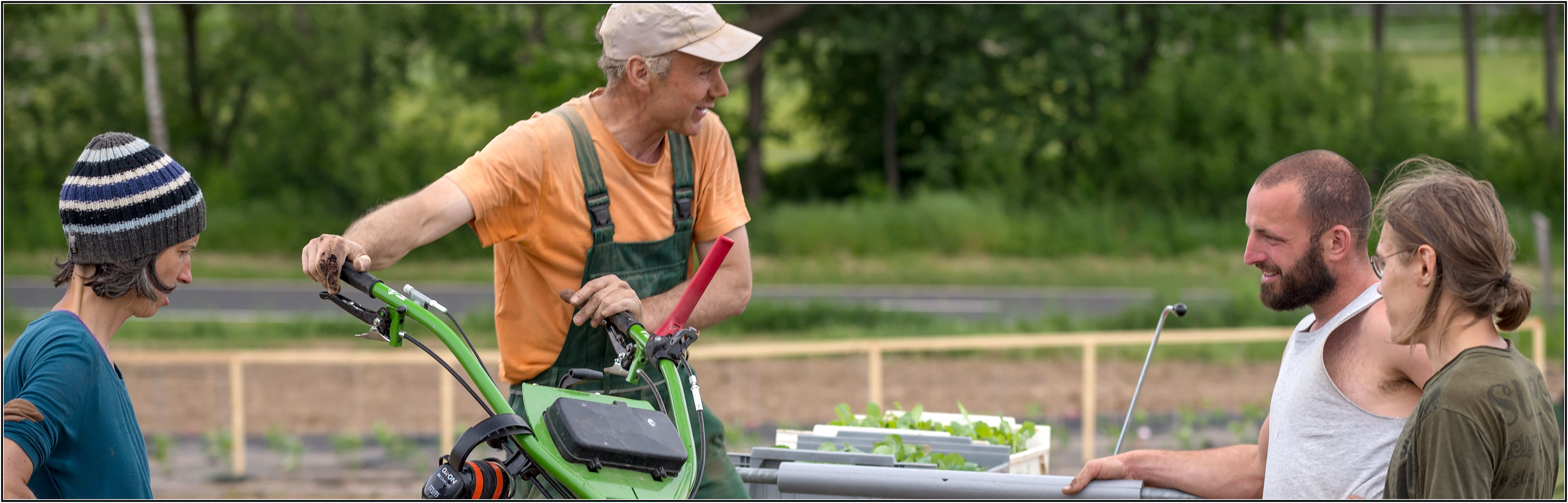 Solawi C'est la vie - KW 22 - Solawi Oberellenbach