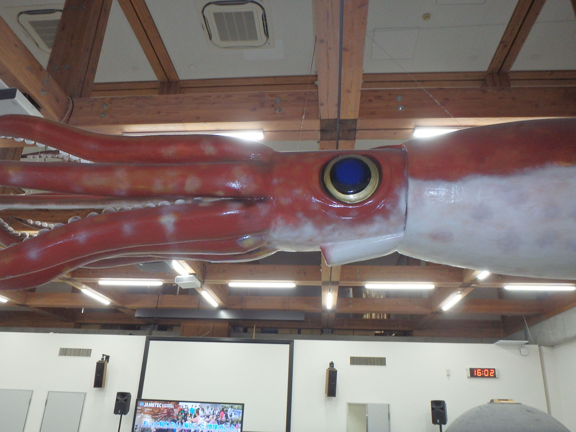 中2心をワシ掴み！巨大イカオブジェにグッとくる。GODACで大人の社会科