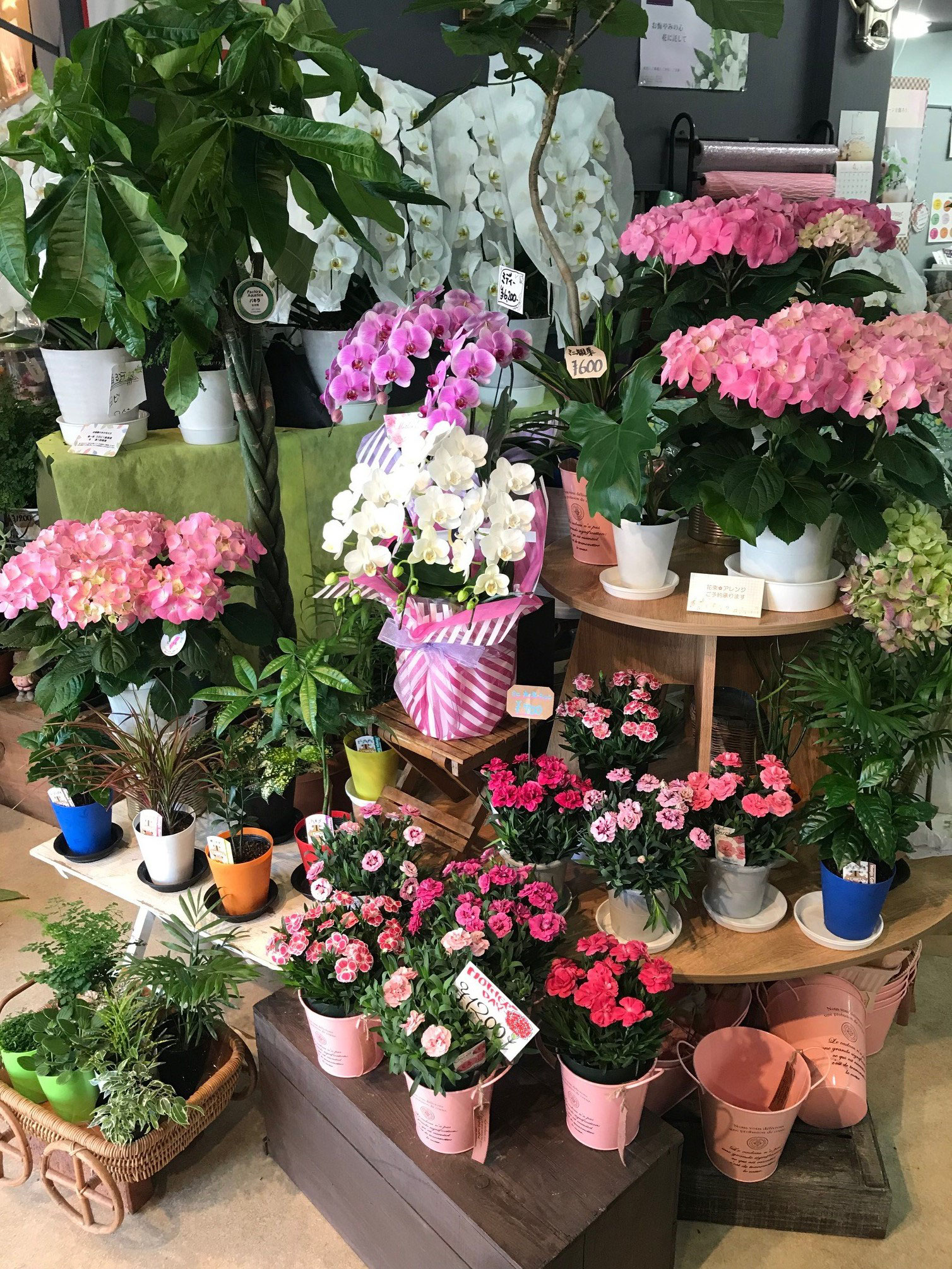 花裕生花店 jimdo