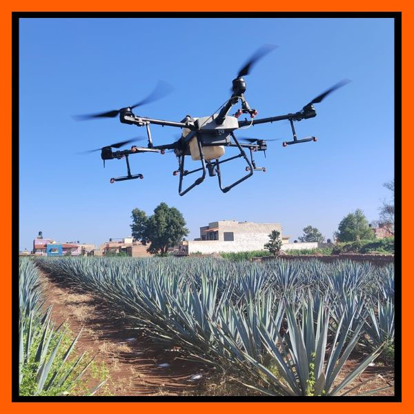 Drones en la vigilancia y protección de plantaciones de agave para la