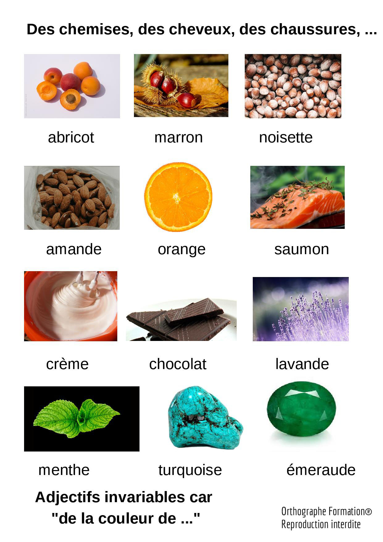 Les Adjectifs De Couleur Leçon Pdf Télécharger Exercices Sur L Accord Des Adjectifs De Couleur dessin