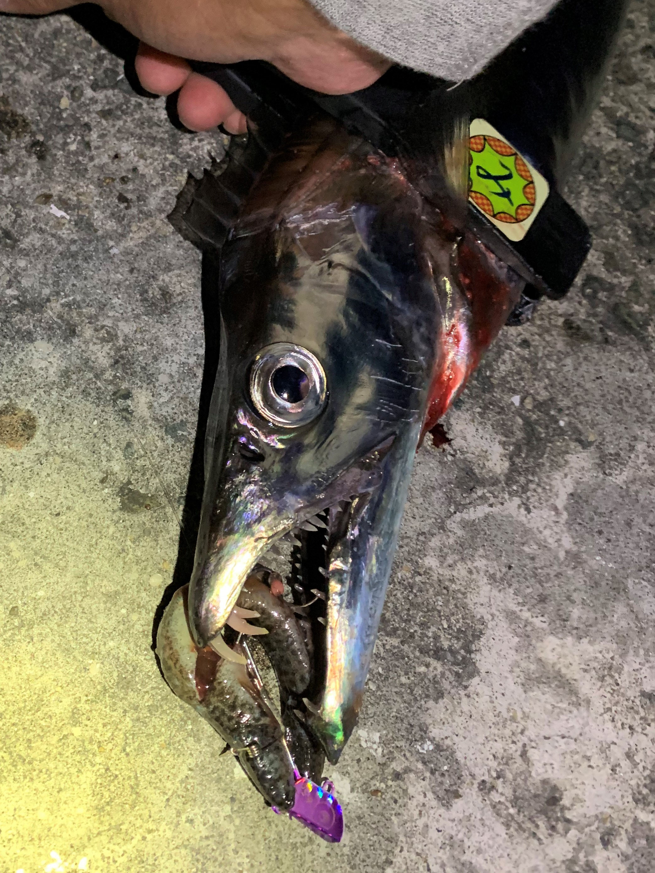 あああ　送料分 花王 アタック 高活性バイオパワー 大 850g-粉末洗剤