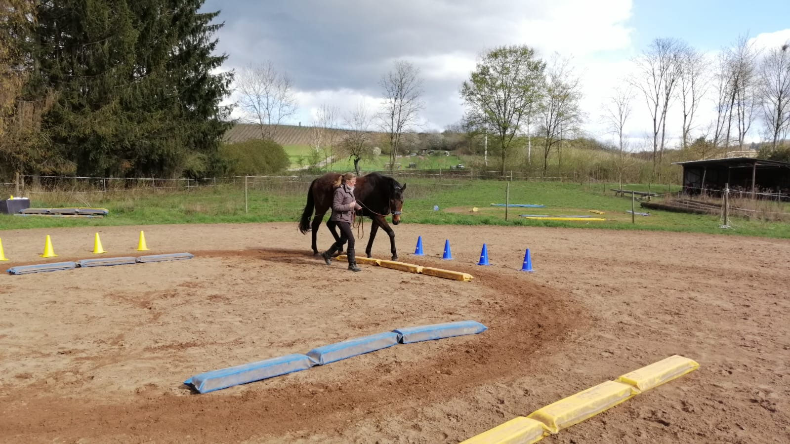 Ilse Wenner Pferdetrainerin und