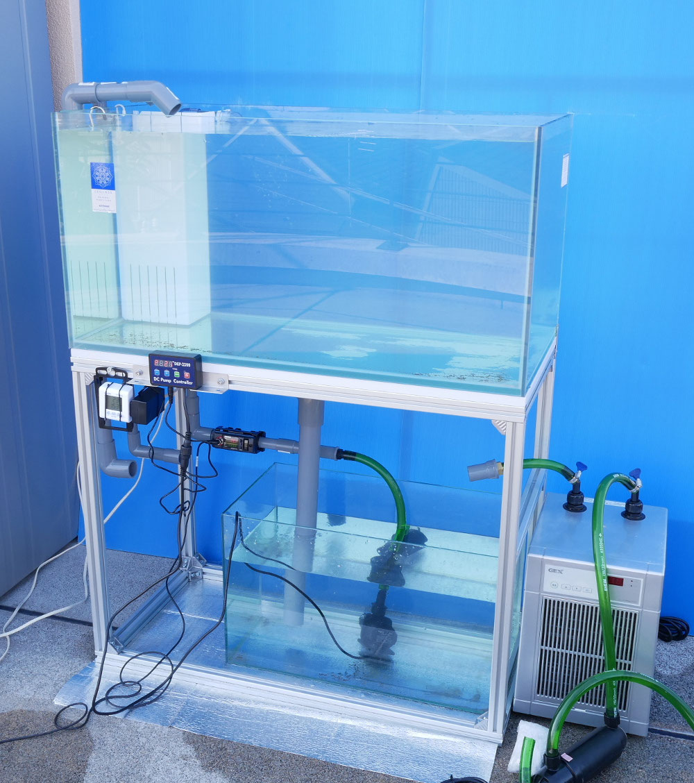 【だっふぃ】DC水中ポンプ Hsbao DEP-4000 楽天市場】【NEWモデル】HSBAO社製 DEP-4000 吐出量4000L/H (毎