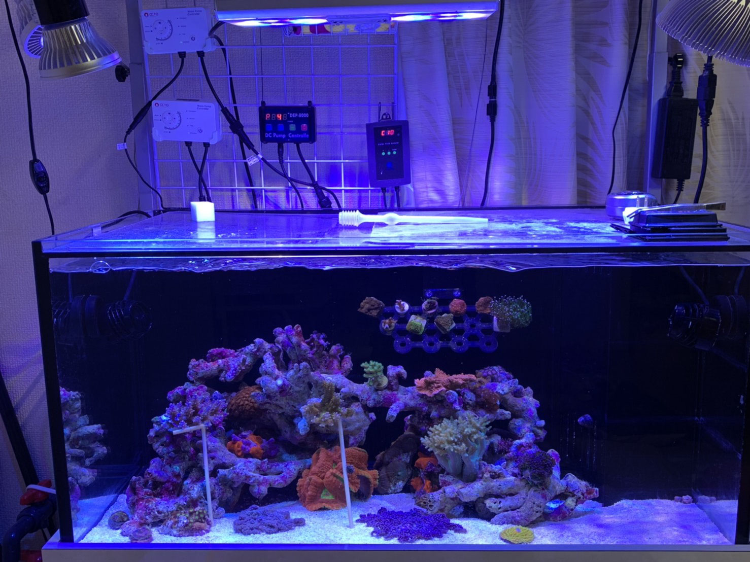 900サイズオーバーフロー水槽の配管でのDEP-8000配管実例 - saff 900サイズオーバーフロー水槽の配管でのDEP-8000配管実例 - saff