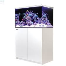 レッドシーリーファー１７０ レッドシー REEFER 170 DX ホワイト 代引不可 3個口 | チャーム