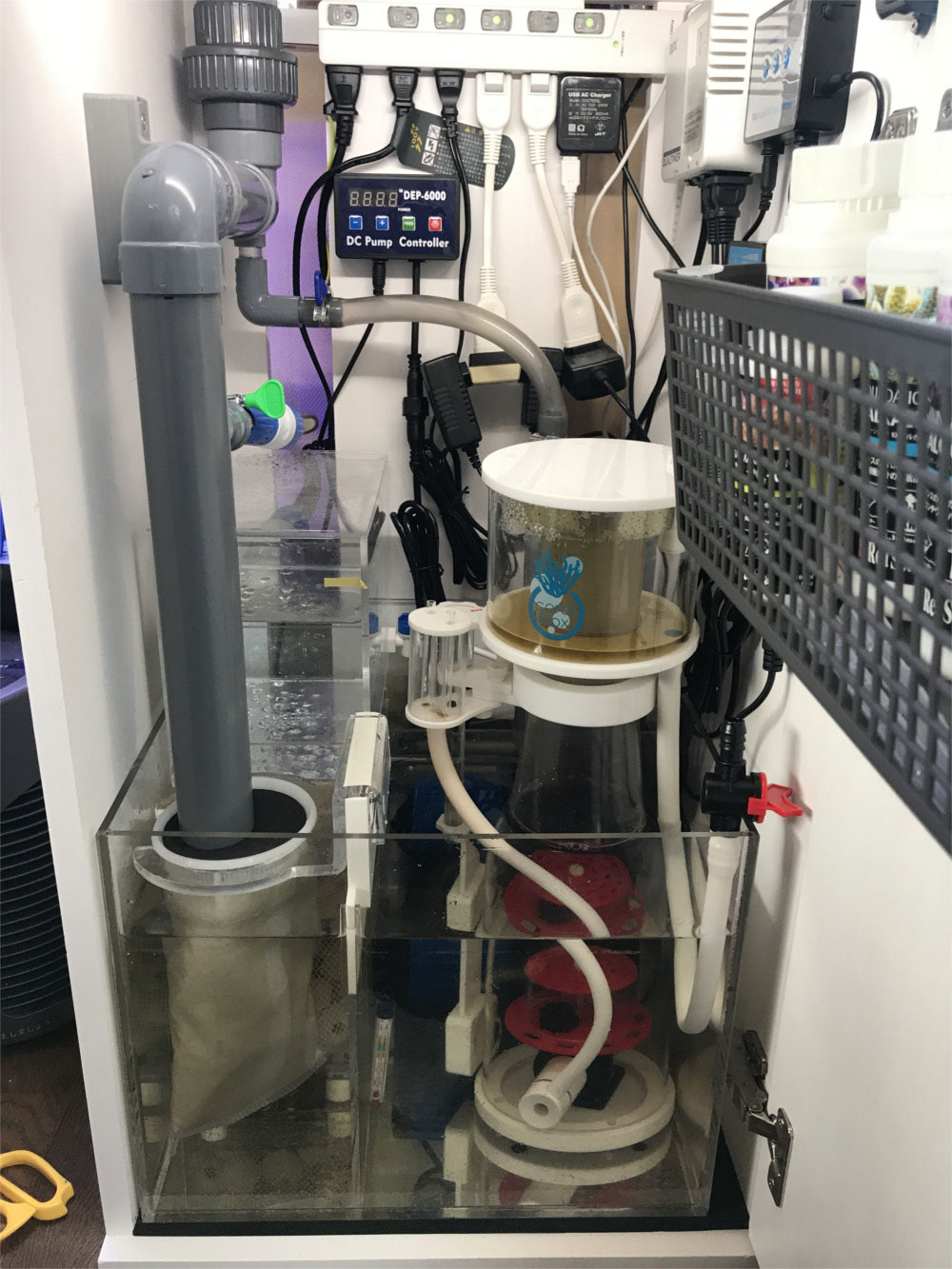 45cmキューブ水槽でのDEP-6000使用事例ご紹介PART2 - saff design サフ