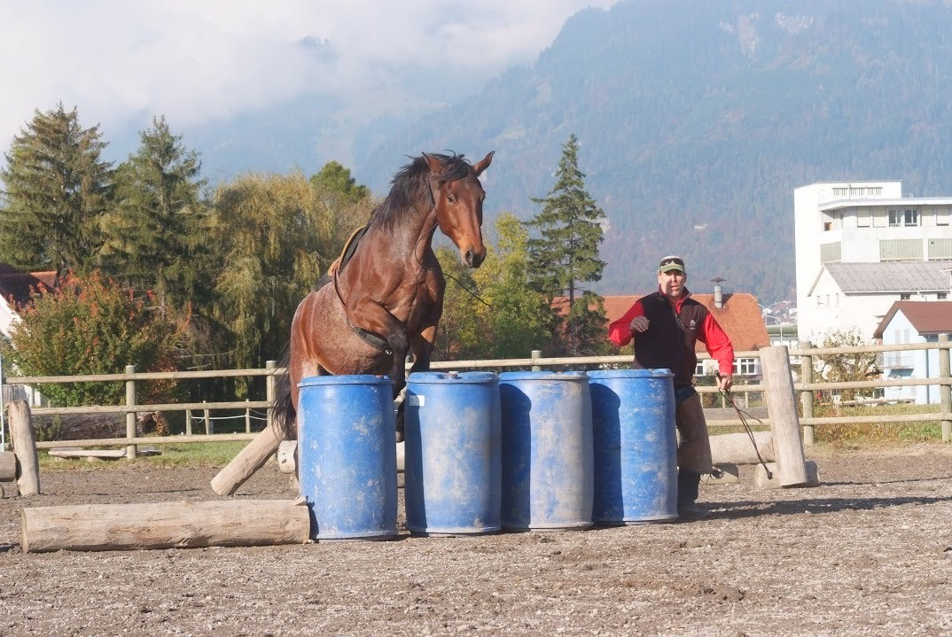 Aktuelle Infos zu Kursen wegen Corona - pferde-engadins Webseite!