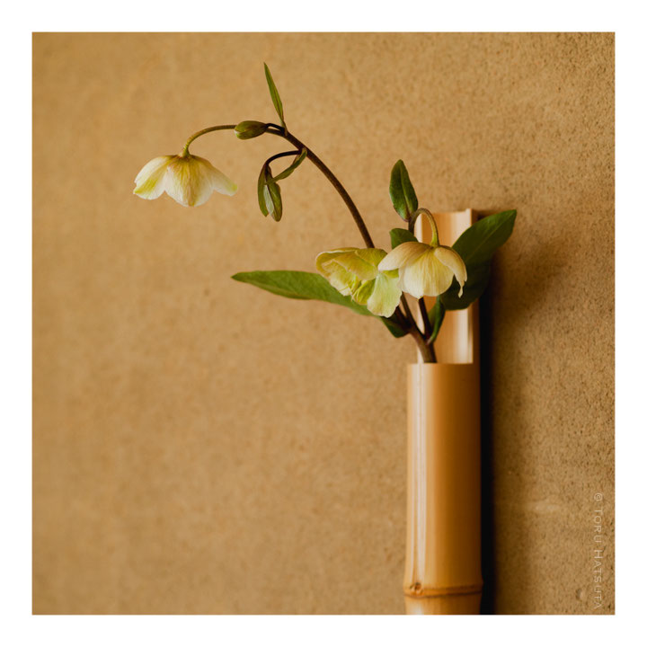 京都 宇治の 花 小森 で竹の花入の取扱いがはじまります 竹工芸家 初田 徹 Official Site