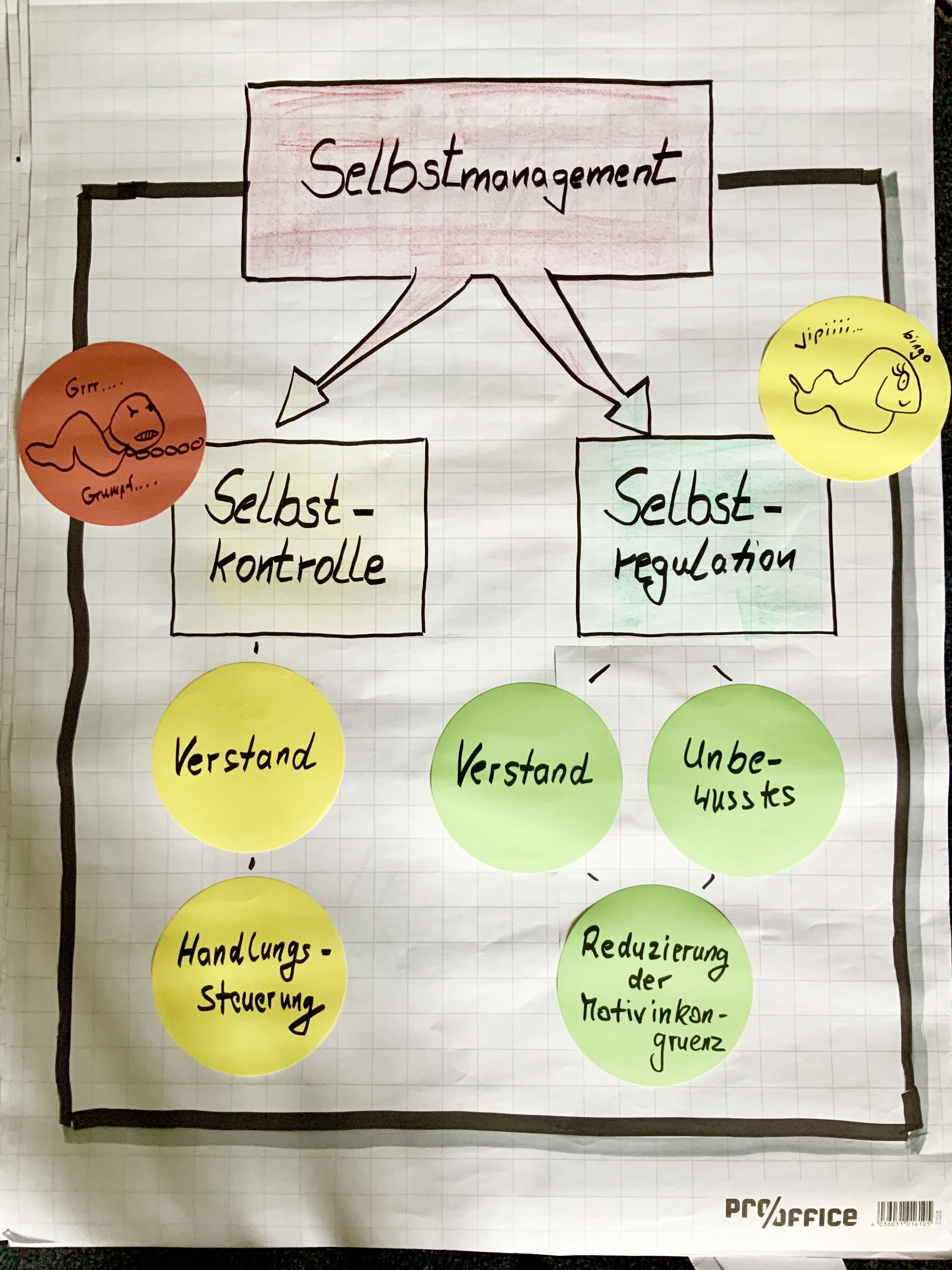 selbstmanagement mit dem zurcher ressourcen modell kathrin rehbein coaching i training i consulting