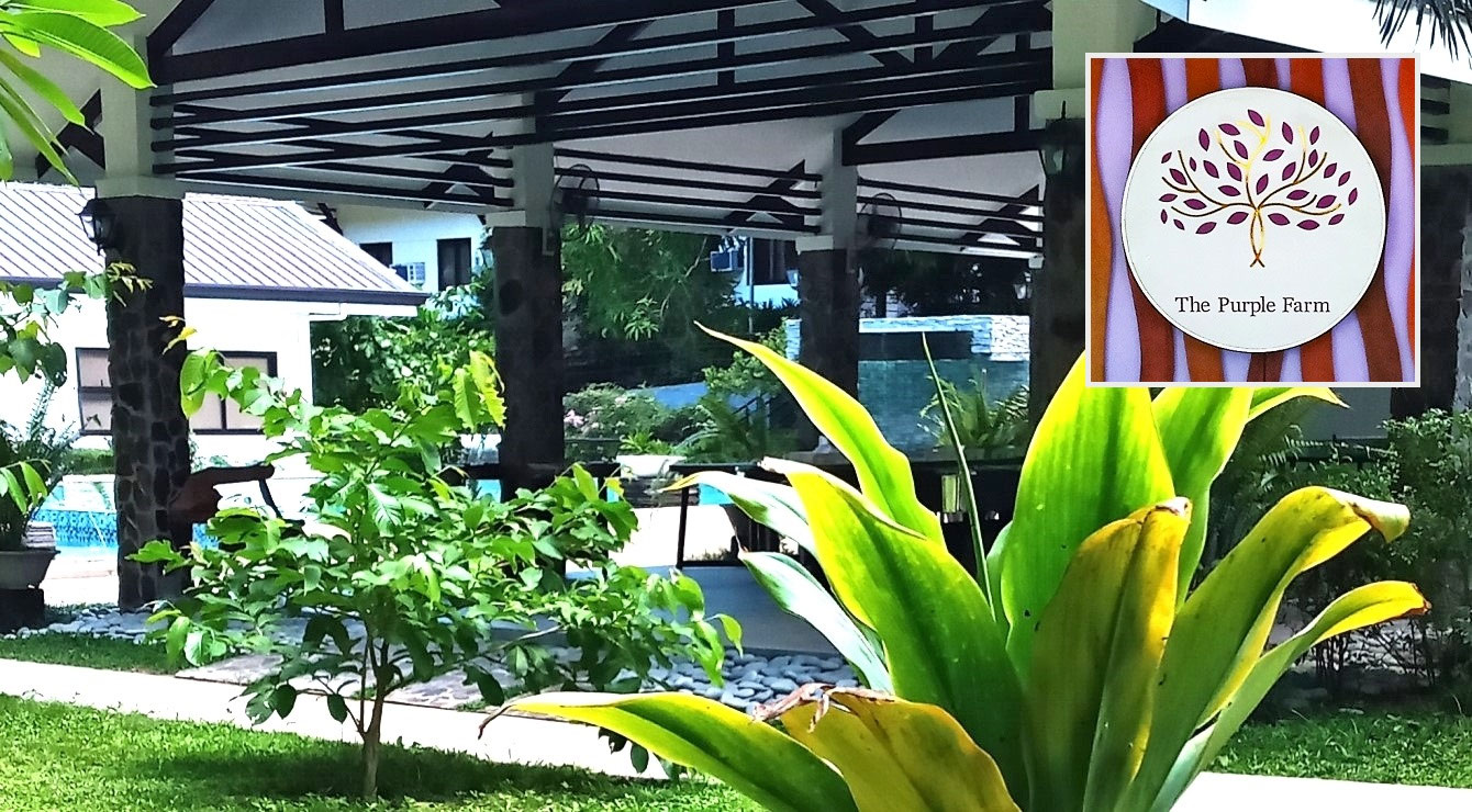 PURPLE FARM in Dinalupihan, Bataan Expressions