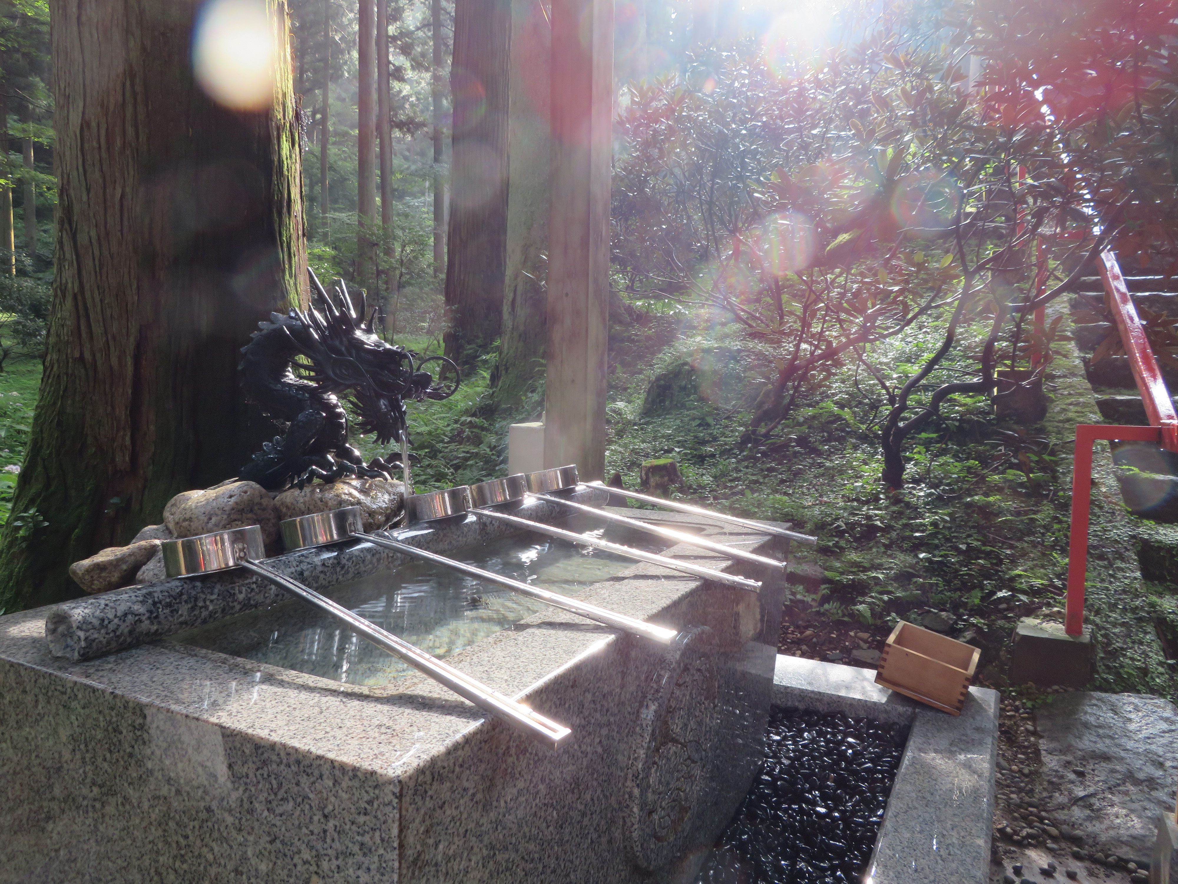 茨城県御岩神社でたくさんのオーブ ヒーリングサロンcoconfouato 茨城県御岩神社でたくさんのオーブ ヒーリングサロンcoconfouato