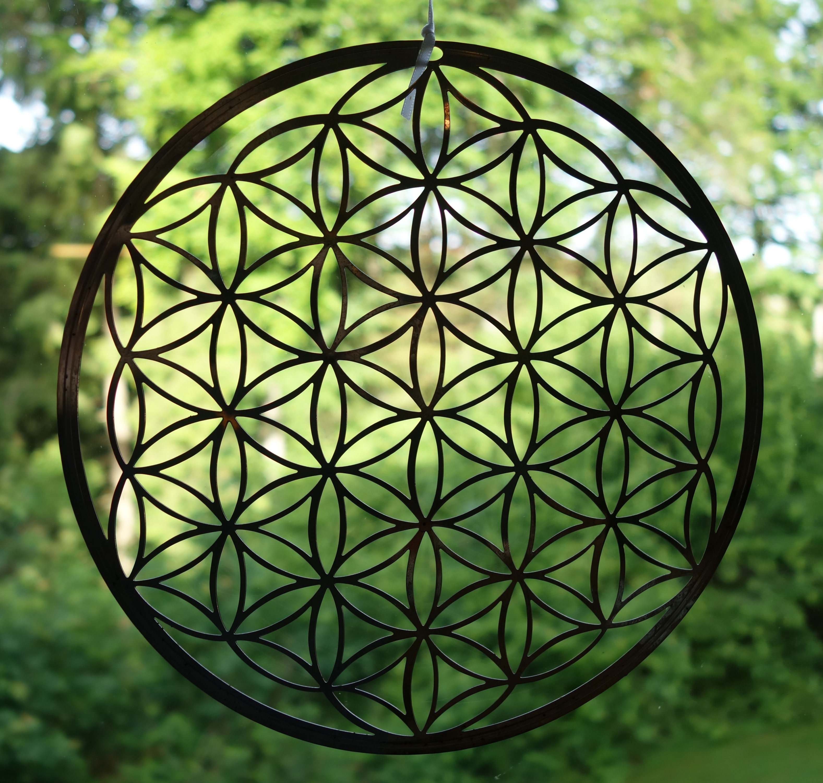 Der CIRCLE mehr als ein Kreis! MindBodyCircle®