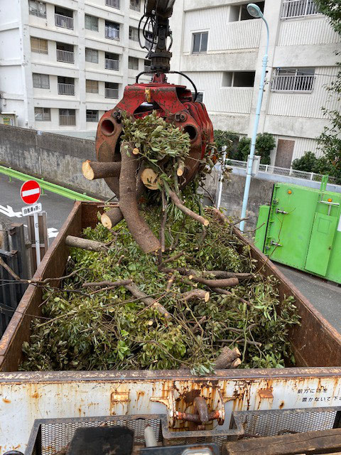 生木 枝葉幹 回収処分 西口産商株式会社 生木 枝葉幹 回収処分 西口産商株式会社