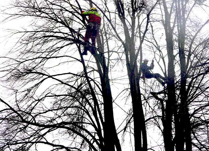 Hoch hinaus mangelspyrmonts Webseite!