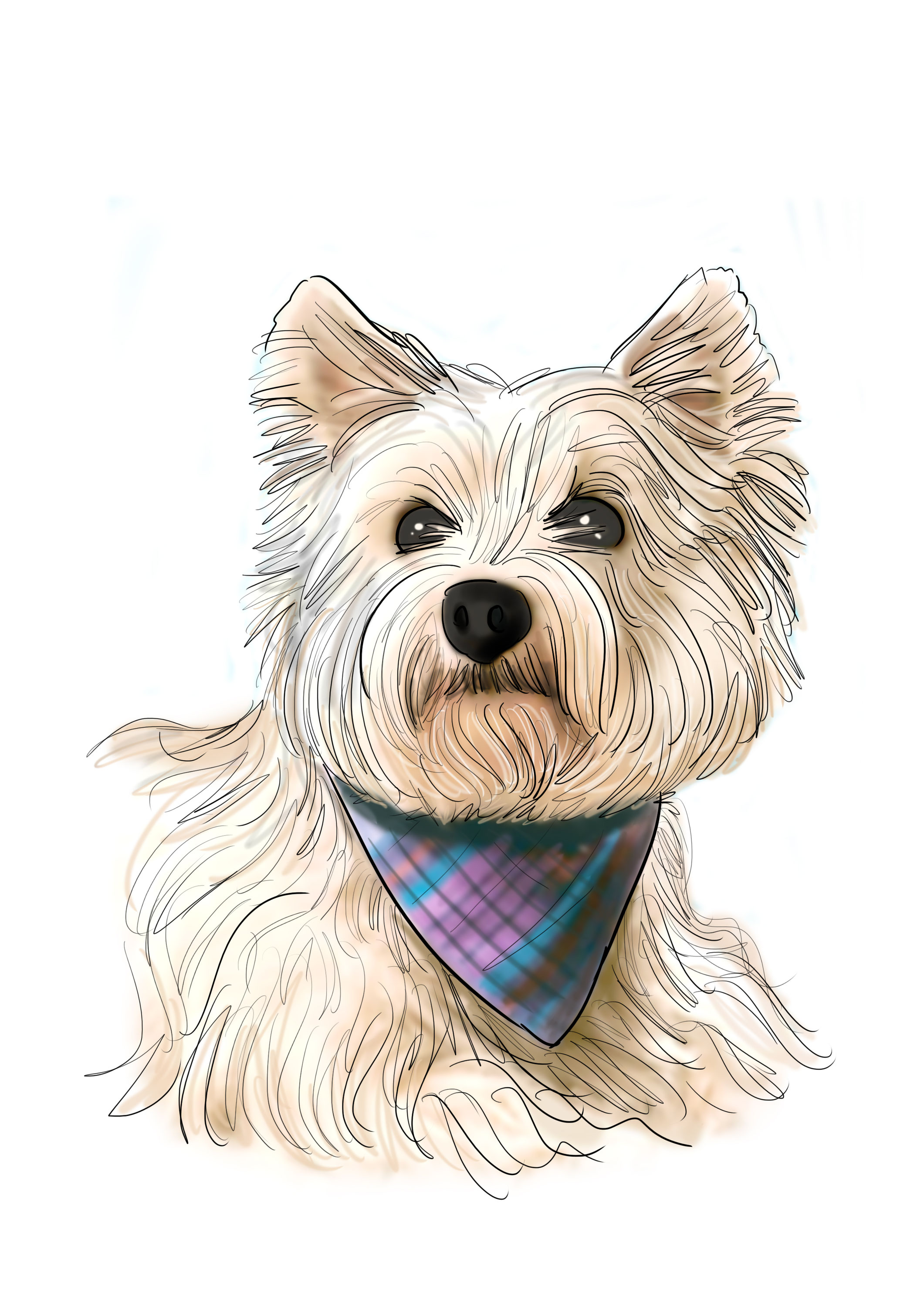 Hund zeichnen lassen - Portrait vom Foto zeichnen, erstellen lassen von