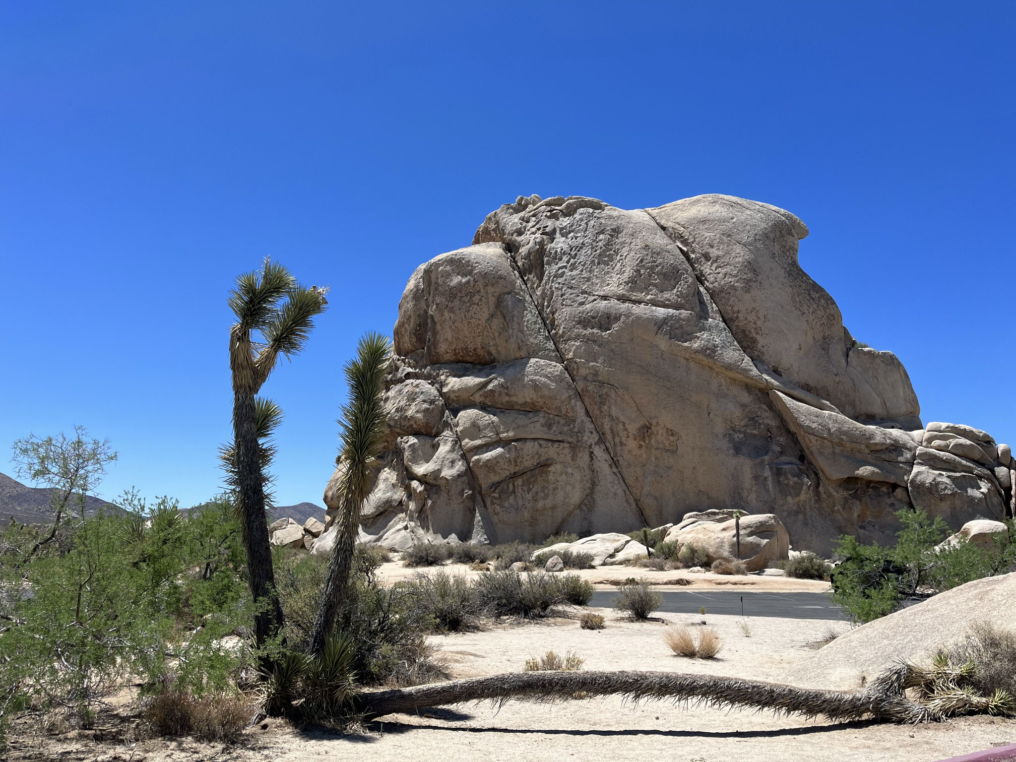 Was Kostet Einen Nacht Im Joshua Tree Park Nationalpark goingaroundtheglobe95.jimdofree.com