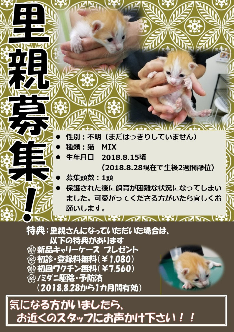 大変申し訳ございませんが現在工事中です