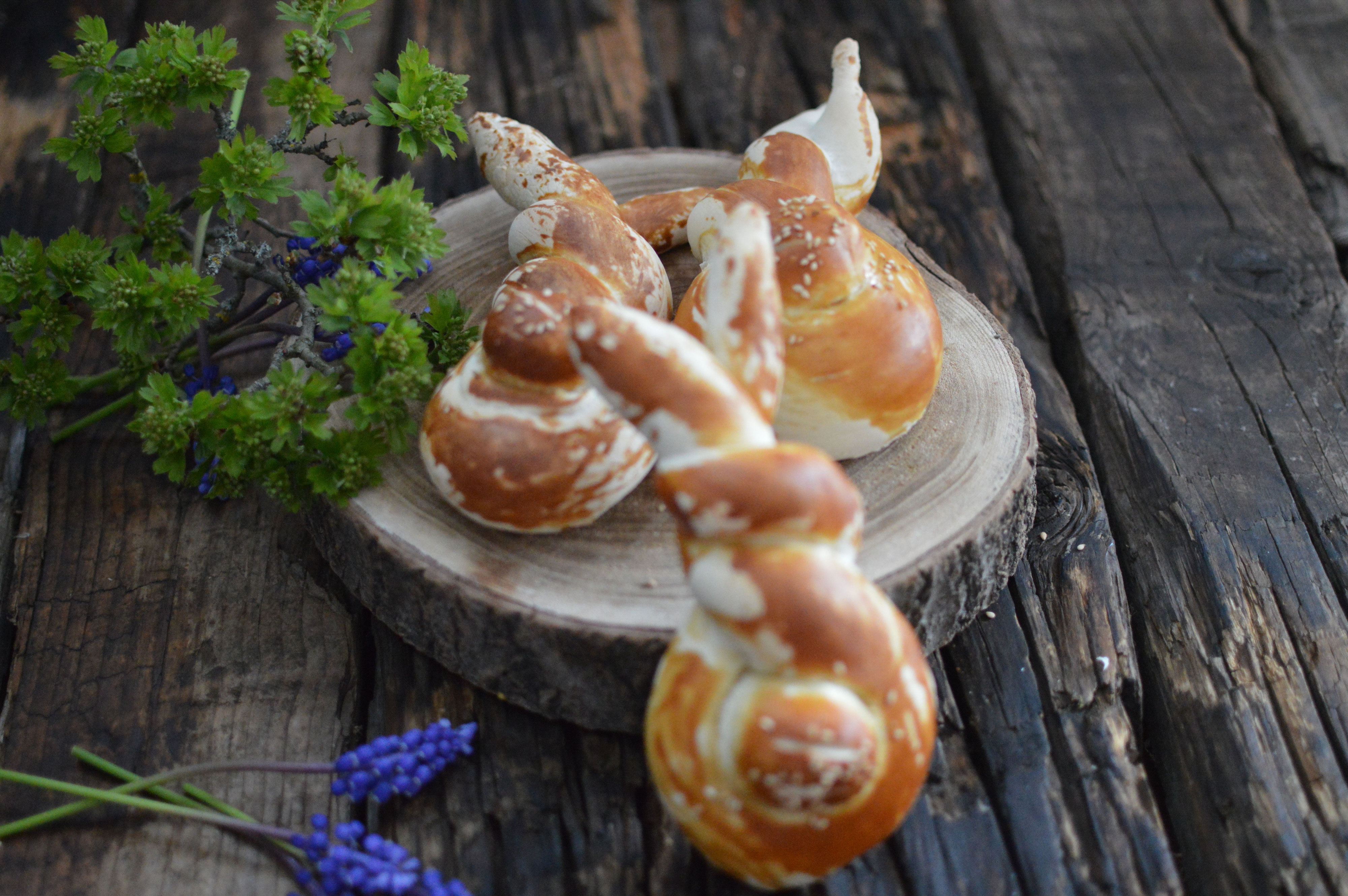 Osternester Osterhasen vesnassuesseswelts Webseite!