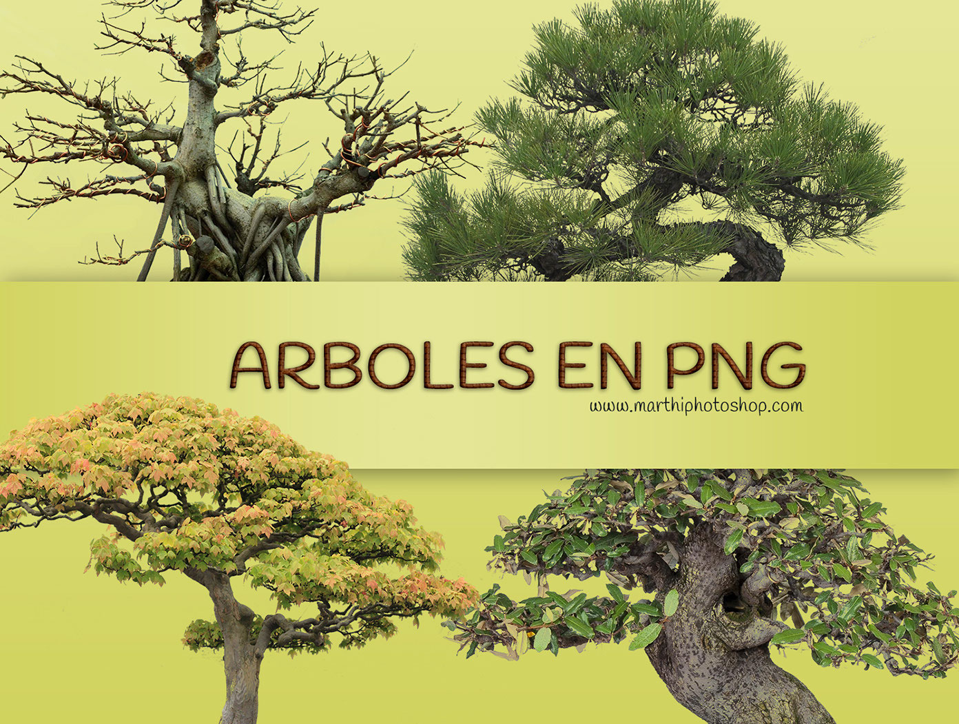 Árboles en PNG - Arte con Photoshop