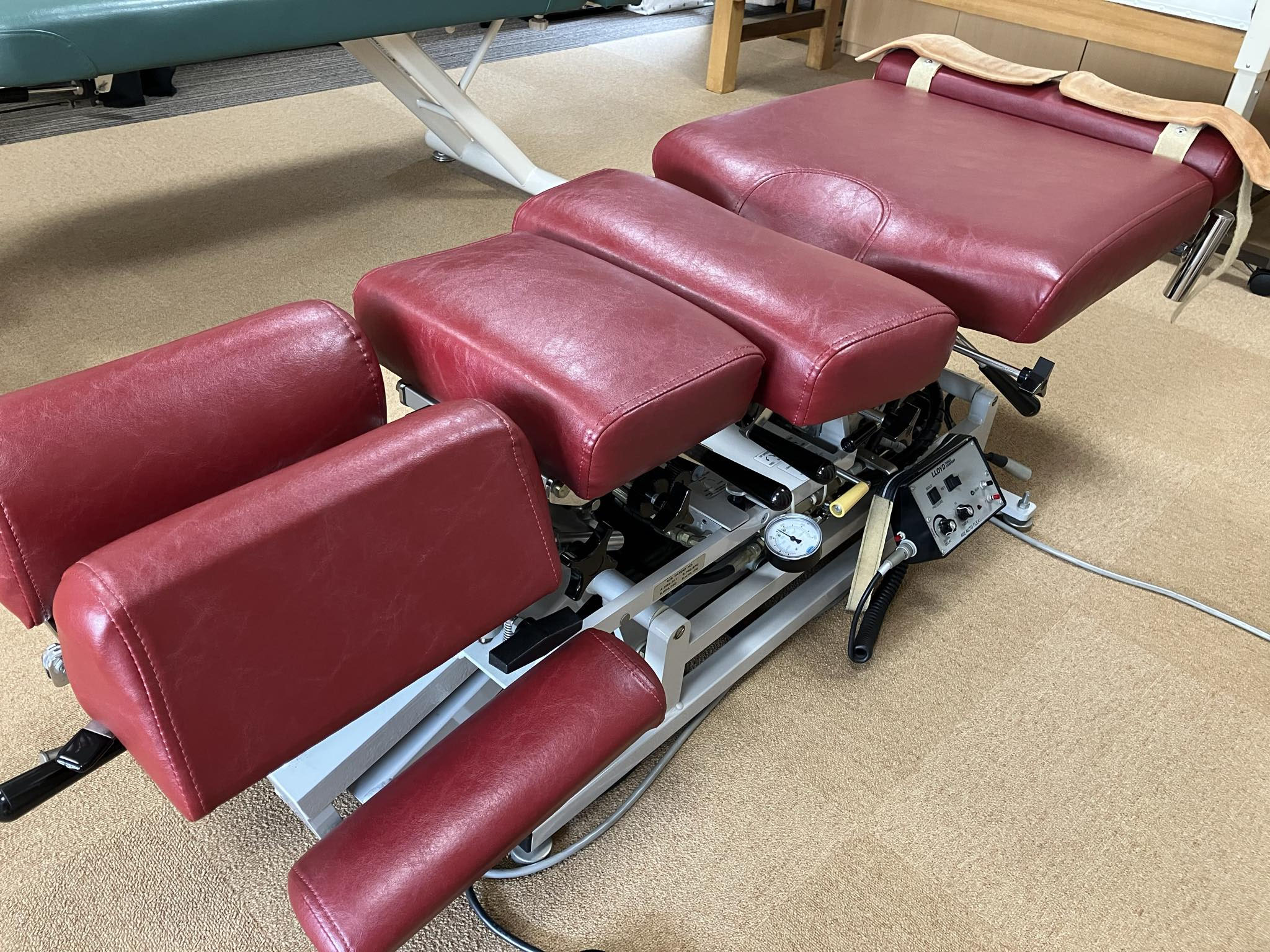 絶版】パーフェクト治療ガイド カイロプラクティック/整体