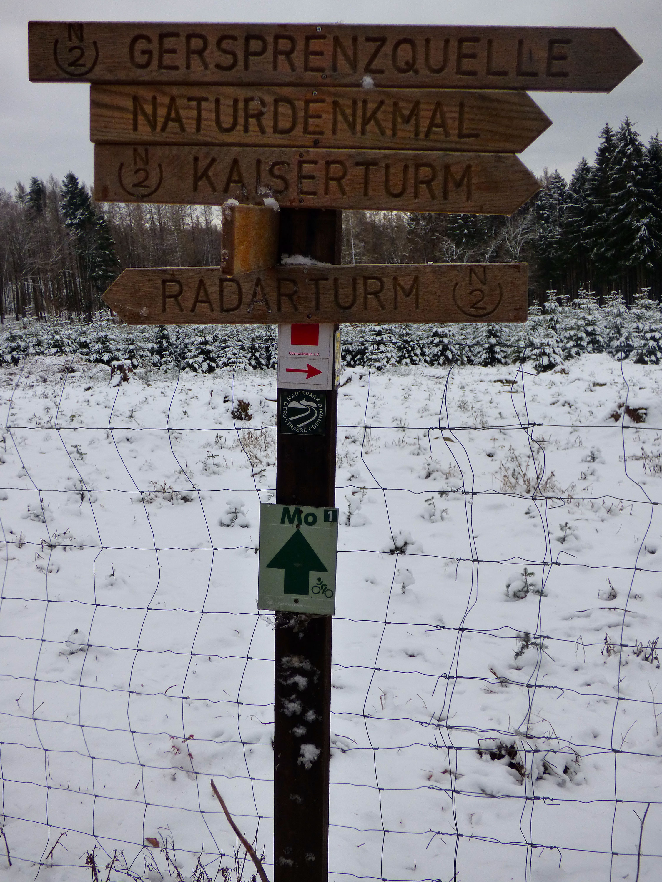 neunkircher hohe wandern auf dem zweithochsten berg im odenwald travelday