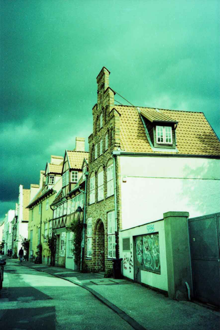Cross processing slide film with Agfa precisa CT - FollowTheGrain.de