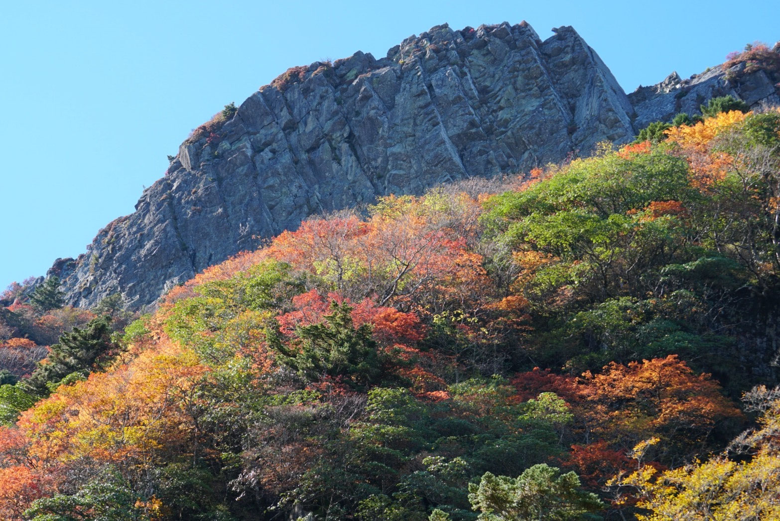 山の穢れ 天狗ノ舞 maxresdefault.jpg