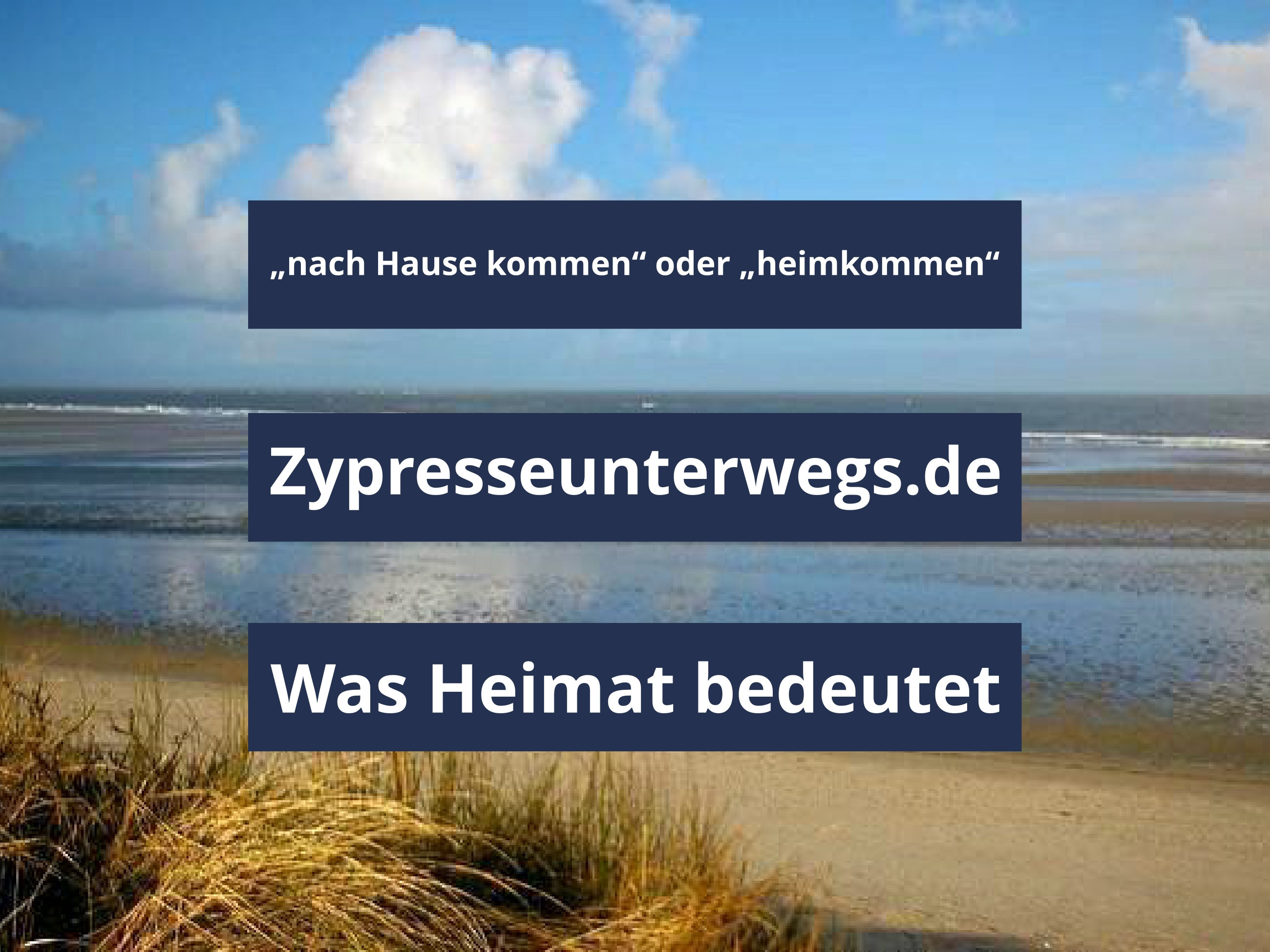 Nach Hause Kommen Heimkommen Zypresse Unterwegs Reiseblog Mit