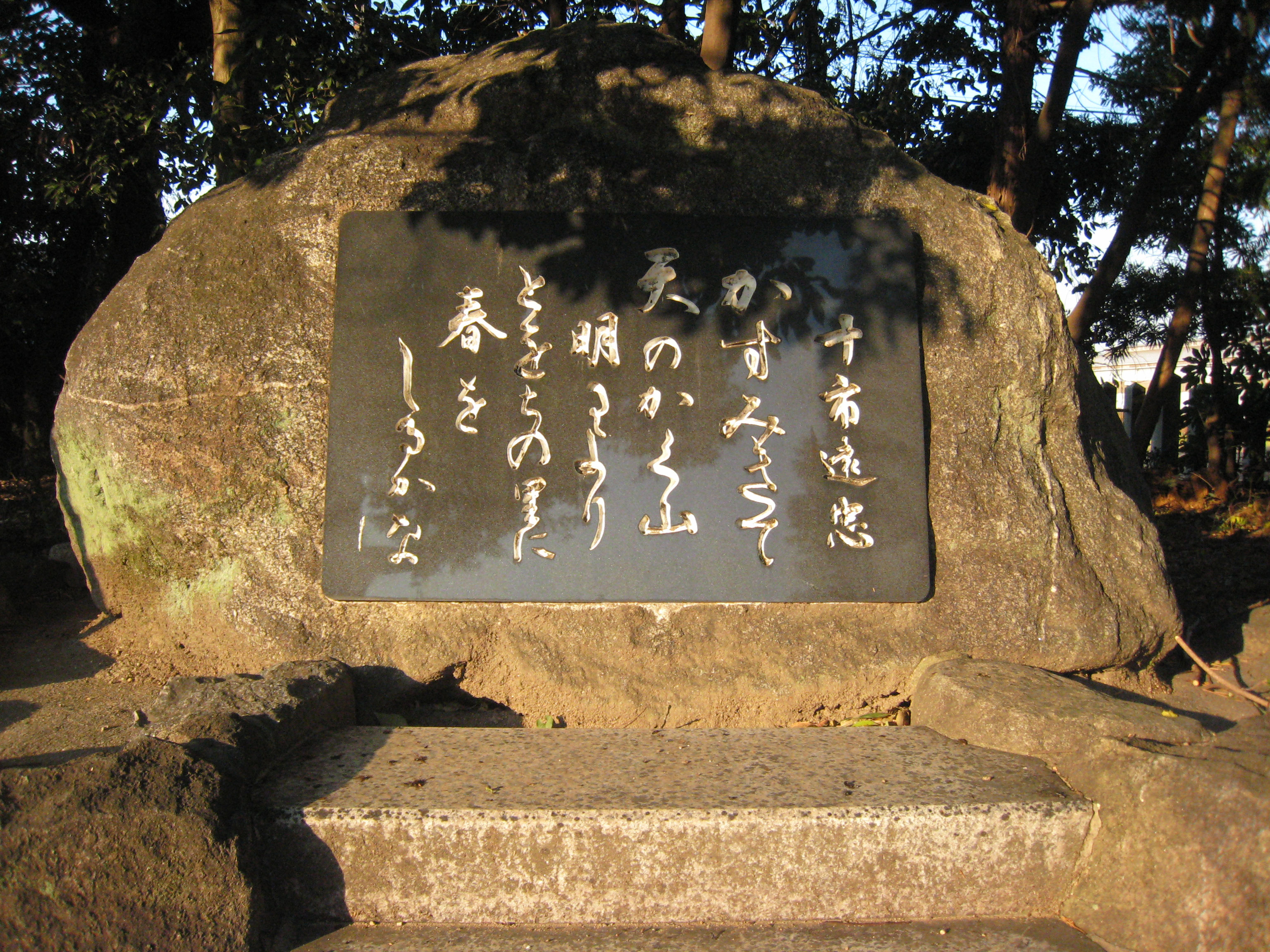 戦国歌人「十市遠忠」